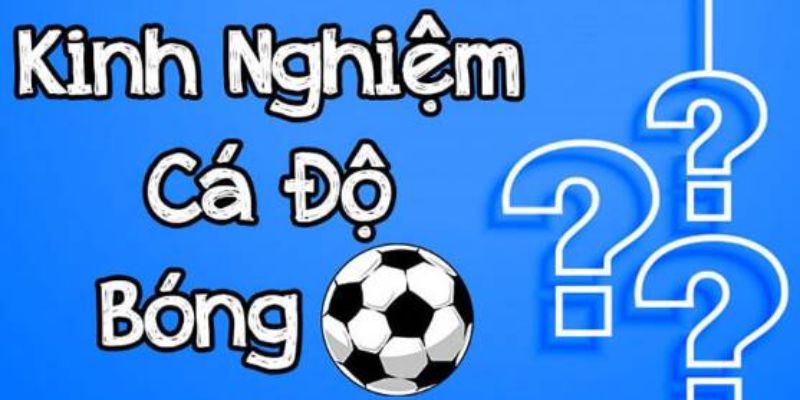 Hiểu rõ kinh nghiệm cược bóng đá